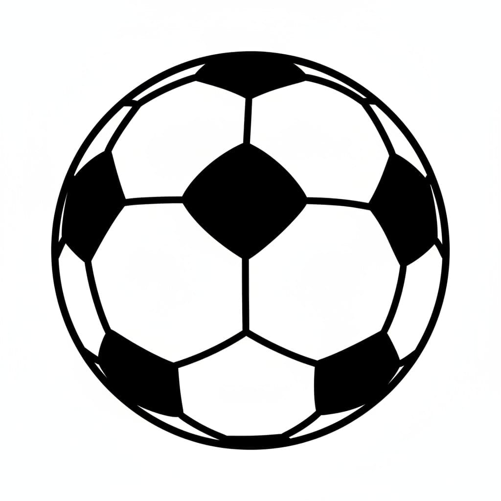 Een zwart met witte voetbal.