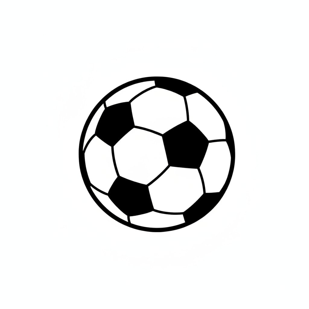 Een zwart met witte voetbal.